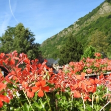 DSCN1743